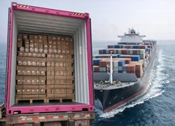 Professional packaging and logistics facility preparing DTF film orders for global delivery