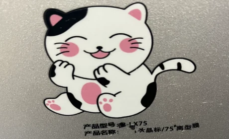 Edge lifting after transfer issue